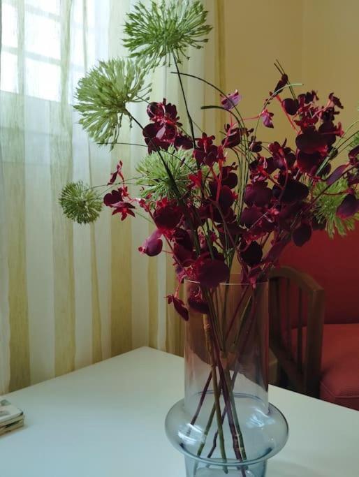 Vicky'S Central Apartment Corinto Exterior foto